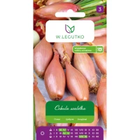 Cebula Szalotka Zébrune 3 g Legutko przód