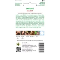 Jarmuż Czerwony Scarlet 1 g Legutko tył