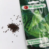 Kapusta Stożkowa Cuor Di Bue Grosso 1 g Legutko foto