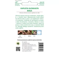 Kapusta Stożkowa Cuor Di Bue Grosso 1 g Legutko tył