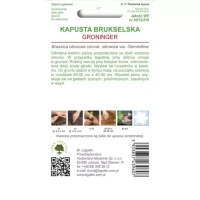 Brukselka Groninger 1 g Legutko tył