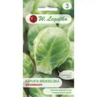 Brukselka Groninger 1 g Legutko przód