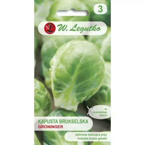 Brukselka Groninger 1 g Legutko przód