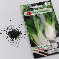 Kapusta Chińska Pak Choi 1 g Legutko foto