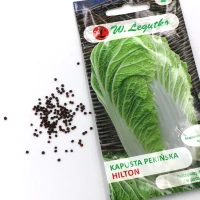 Kapusta Pekińska Hilton 0,5 g Legutko foto