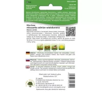 Marchew Mieszanka Odmian Legutko tył