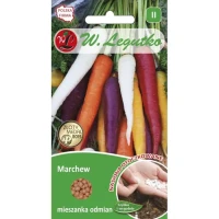 Marchew Mieszanka Odmian Legutko przód