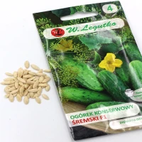 Ogórek Gruntowy Śremski F1 5 g Legutko foto
