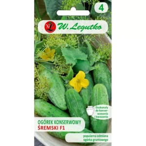 Ogórek gruntowy ‘Śremski’ F1 – nasiona do kiszenia i konserwowania – Legutko