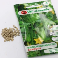 Ogórek Brawo F1 2 g Legutko foto