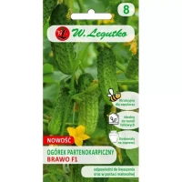 Ogórek Brawo F1 2 g Legutko przód