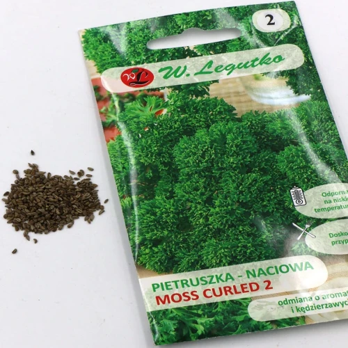 Pietruszka Naciowa Moss Curled 5 g Legutko foto