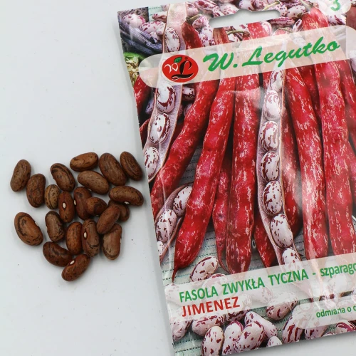 Fasola Tyczna Jimenez 20 g Legutko foto