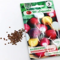 Rzodkiewka Mieszanka Odmian Kulistych 10 g Legutko nasiona foto