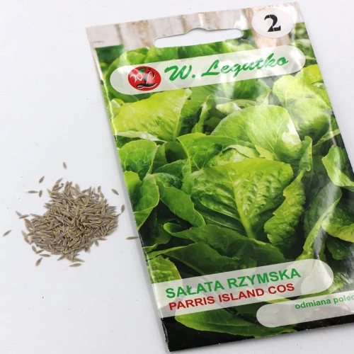 Sałata Rzymska Paris Island Cos 1 g Legutko nasiona foto