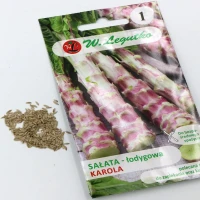Sałata Łodygowa Czerwona Karola 0,5 g Legutko nasiona foto