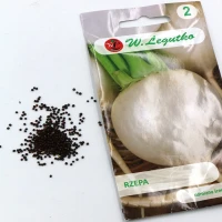 Rzepa Bola De Nieve 5 g Legutko nasiona foto