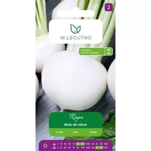 Rzepa Bola de Nieve – śnieżnobiała, delikatna i odporna na chłód – nasiona Legutko