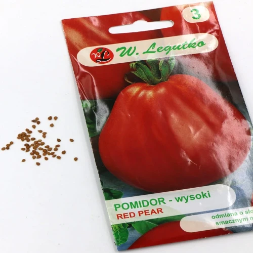 Pomidor Gruntowy Red Pear 0,5 g Legutko nasiona foto