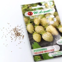Poziomka Żółta Yellow Wonder 0,1 g Legutko nasiona foto