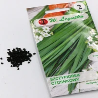 Szczypiorek Czosnkowy 1 g Legutko nasiona foto