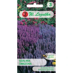 Szałwia omszona – długo kwitnąca bylina miododajna na rabaty – nasiona Legutko