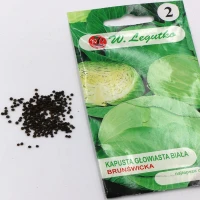 Kapusta Głowiasta Biała Brunświcka 2 g Legutko nasiona foto