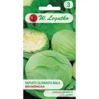 Kapusta Głowiasta Biała Brunświcka 2 g Legutko nasiona przód