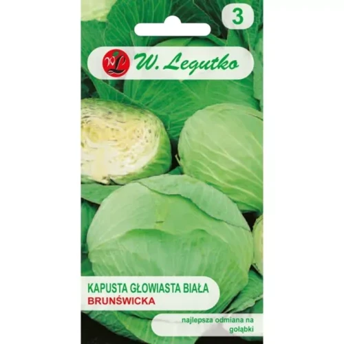 Kapusta Głowiasta Biała Brunświcka 2 g Legutko nasiona przód