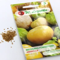 Miechunka Pomidorowa Amarylla 0,5 g Legutko nasiona foto