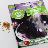 Oberżyna Black Beauty 0,50 g Legutko nasiona foto