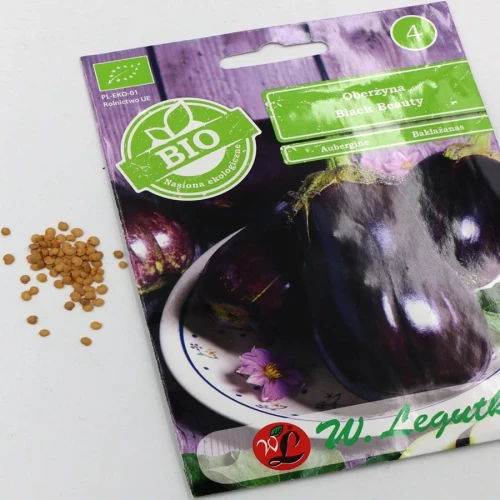 Oberżyna Black Beauty 0,50 g Legutko nasiona foto