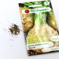 Seler Korzeniowy Talar 1 g Legutko nasiona foto