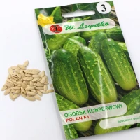 Ogórek Polan F1 5 g Legutko nasiona foto