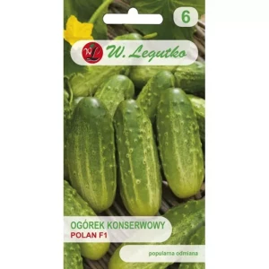 Ogórek gruntowy ‘Polan’ F1 – nasiona do kiszenia i konserwowania – Legutko