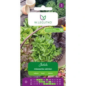 Sałata – mieszanka odmian – nasiona do długiego zbioru i różnorodnych sałatek – Legutko