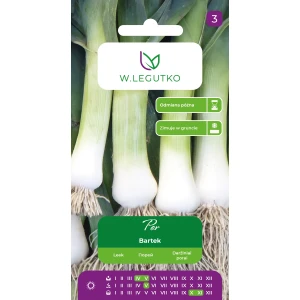 Por Bartek – doskonały do zimowania i długiego przechowywania – nasiona Legutko