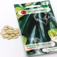 Dynia Zwykła Soraya 2 g Legutko nasiona foto