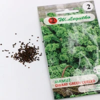 Jarmuż Dwarf Green Curled 1 g  Legutko nasiona foto