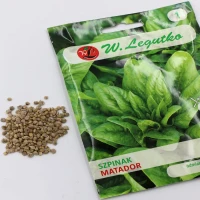 Szpinak Matador 10 g Legutko nasiona foto