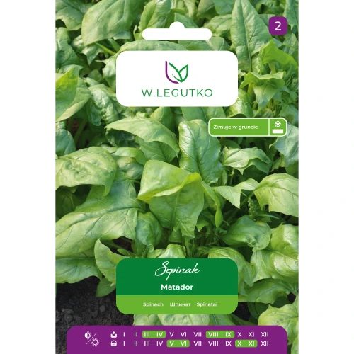 Szpinak Matador 10 g Legutko nasiona przód