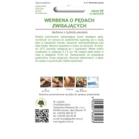 Werbena o Pędach Zwisających 0,3 g Legutko nasiona tył