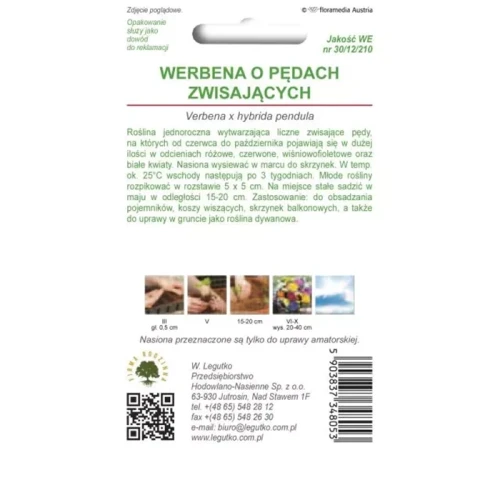 Werbena o Pędach Zwisających 0,3 g Legutko nasiona tył
