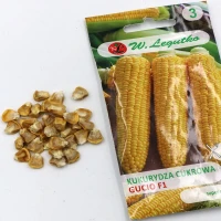 Kukurydza Cukrowa Gucio F1 10 g Legutko nasiona foto