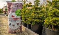Bio podłoże kwaśne 50 l - Ekagro foto 2