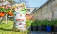 Bio ziemia premium 50 l - Ekagro foto 2
