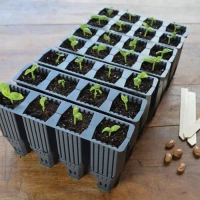 Plastikowe Wkłady do Ukorzeniania - 28 Komórek do Ukorzeniania Roślin 4x4x12cm - Garland foto 1