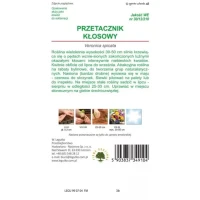 Przetacznik kłosowy – niebieski – 0,1 g Legutko tył