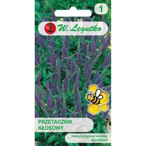 Przetacznik kłosowy – niebieski – 0,1 g Legutko przód