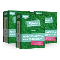 Mikrokoniczyna – nasiona – 3 kg Vegano